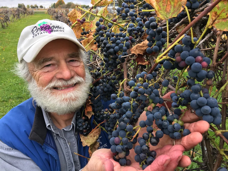 John Rossignol - Rossignol Winery
